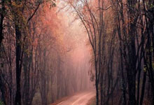 竞彩买球平台 -中(zhōng)国本科生留學(xué)专業(yè)选择趨(qū)势：商科理工双主导 人(rén)文降温新(xīn)兴崛起