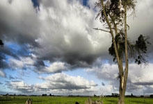 竞彩买球平台 -中(zhōng)国本科生留學(xué)专業(yè)选择趨(qū)势：商科理工双主导 人(rén)文降温新(xīn)兴崛起