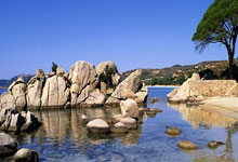 世界杯竞彩购彩网站 -AI是技术革新，不是“岗位革命”